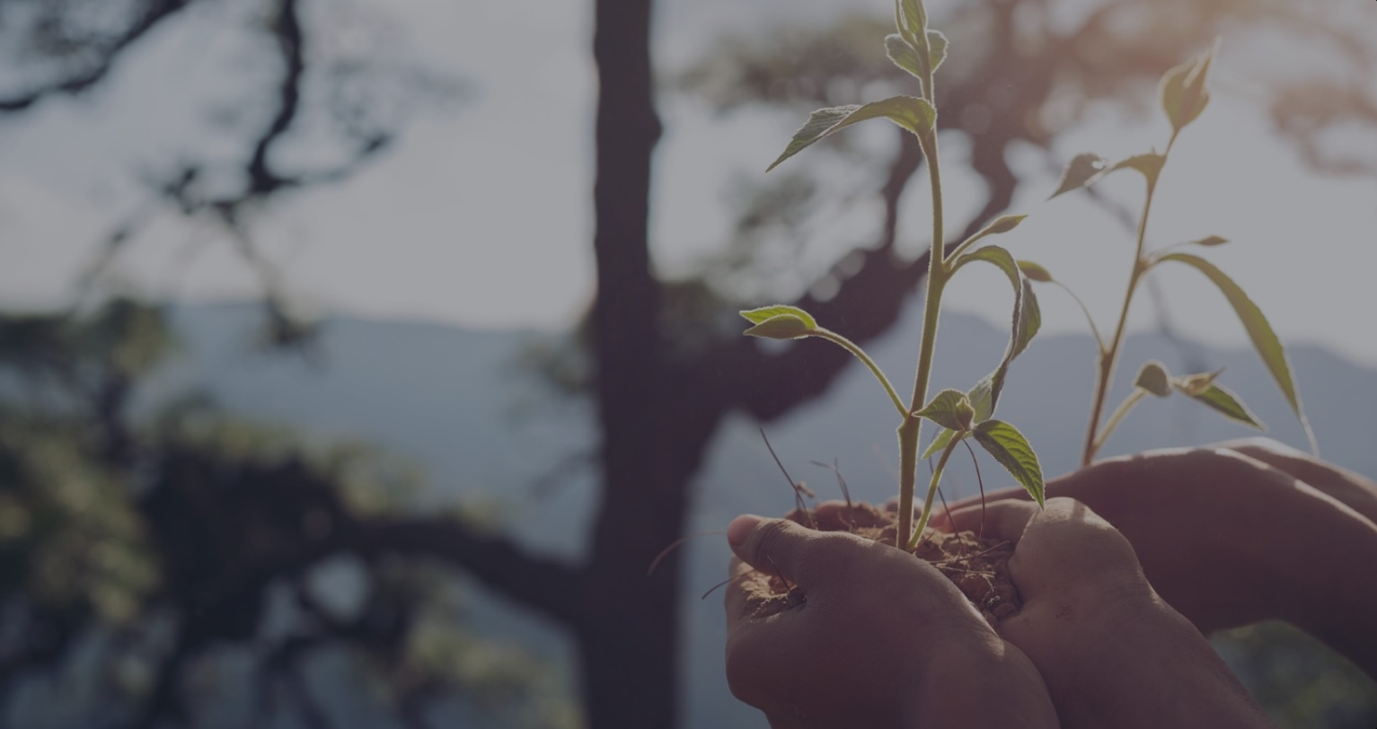 Tecnología sustentable